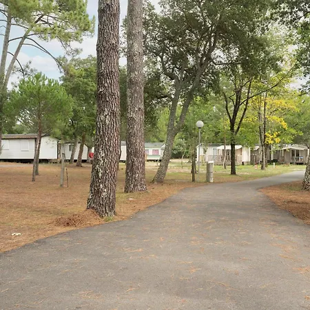 Camping Paradis Albret Kemping Messanges (Landes)
