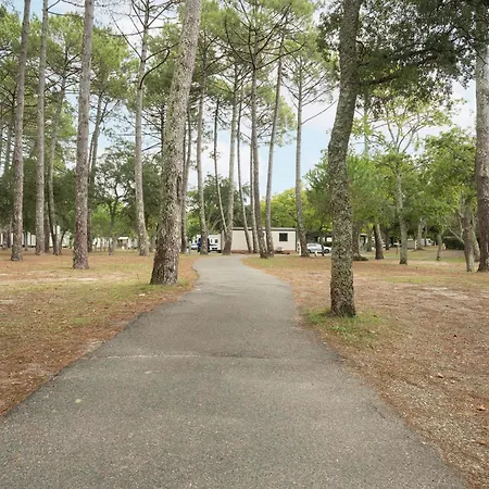 Camping Paradis Albret Kemping *